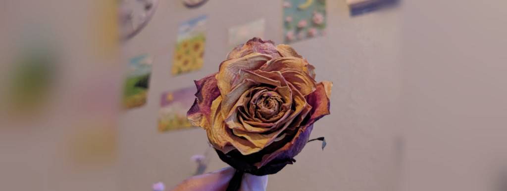 ফুলের গান